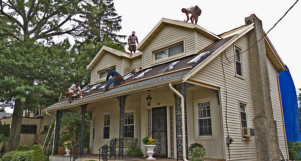 Best Roof Repair Specialists  in Mingo Junction, OH